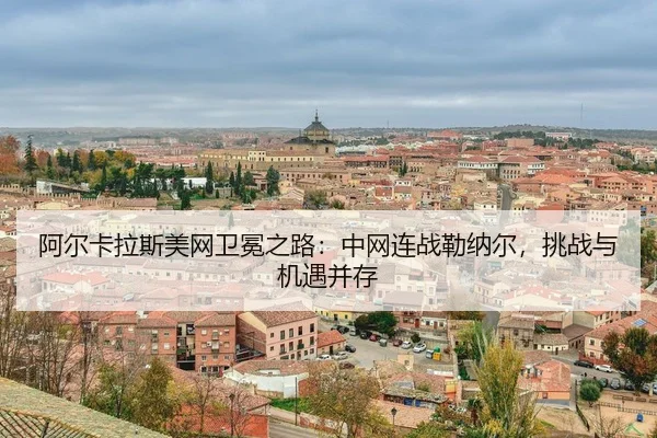 a-er-ka-la-si-mei-wang-wei-mian-zhi-lu-zhong-wang-lian-zhan-lei-na-er-tiao-zhan-yu-ji-yu-bing-cun-3-849.jpg