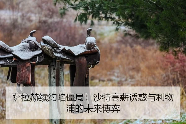 萨拉赫续约陷僵局：沙特高薪诱惑与利物浦的未来博弈